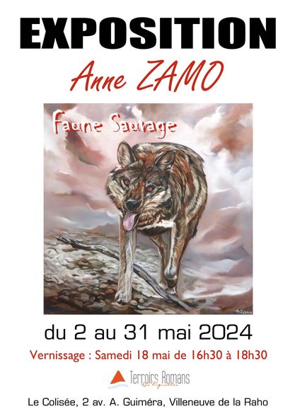 exposition Anne Zamo